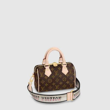Your Gateway to Iconic PreOwned Louis Vuitton Items in South Africa   Luxity