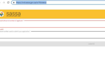 SRD status check srd.sassa.gov.za status check online status check 2023