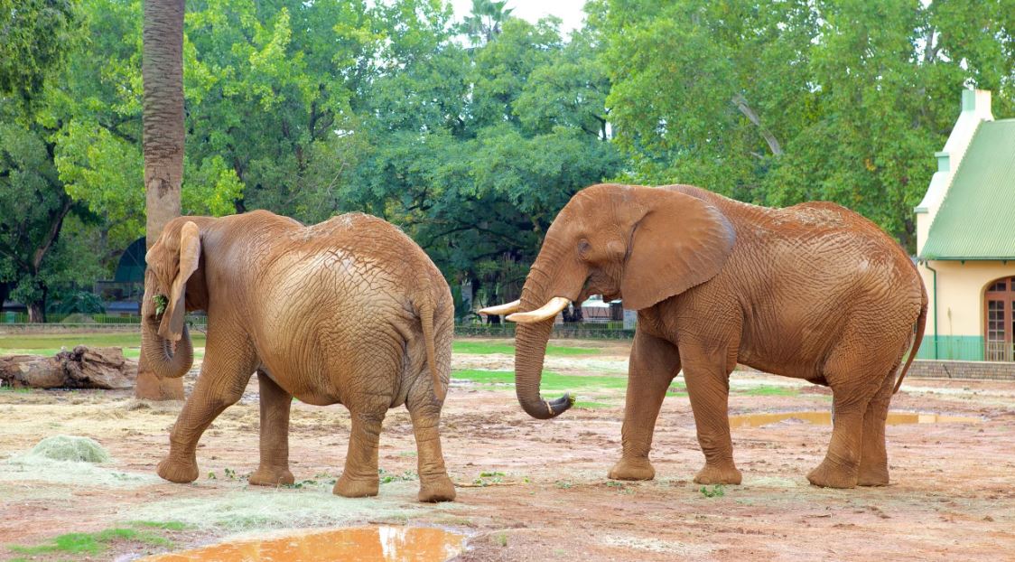 10 Places To Visit In Pretoria