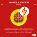 World Stroke Week