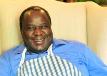 Who Is Tito Mboweni Wife