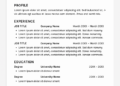 What is a CV Template